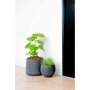 Pottery Pots Rough Patt ronde plantenbak zwart